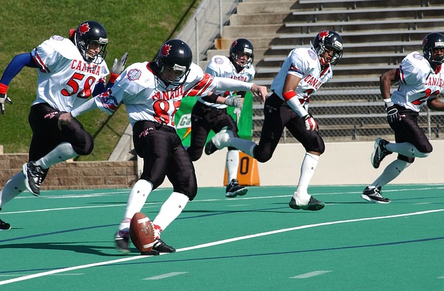 东姑赛夫鲁 东姑赛夫鲁