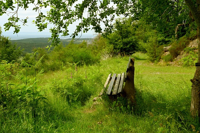 评德国队的 评德国队的
