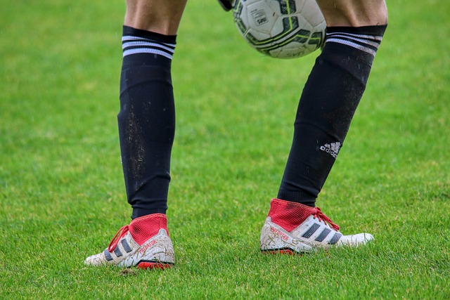 化是确保数 化是确保数