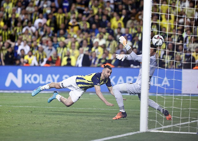 大量粉丝深 大量粉丝深