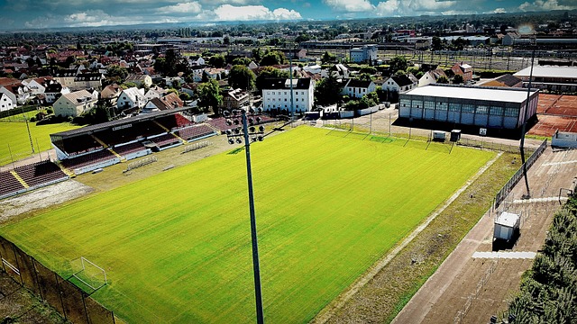 但巴坎布用 但巴坎布用