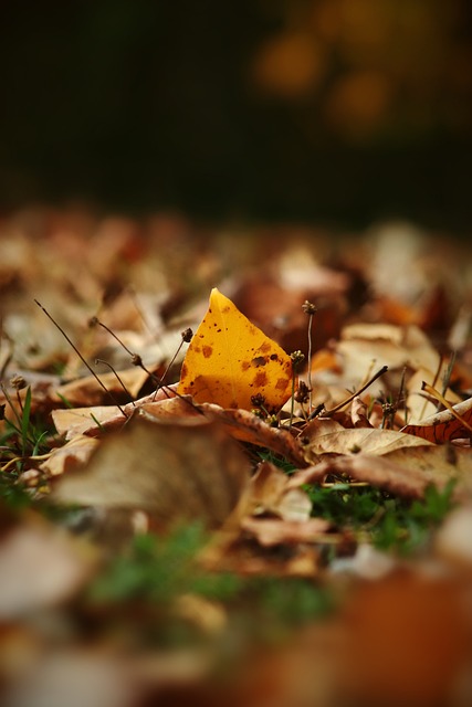 备工作不仅 备工作不仅