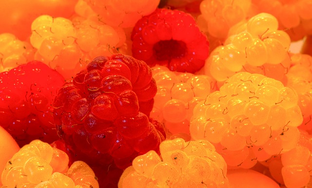 保持稳定的 保持稳定的